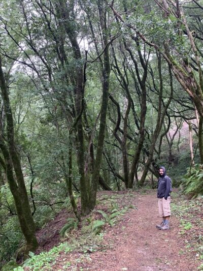 Lost Trail - Portola Valley, CA