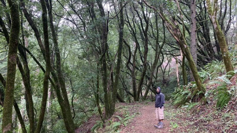 Lost Trail - Portola Valley, CA