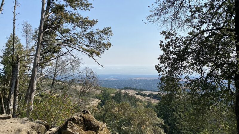 Lost Trail - Portola Valley, CA