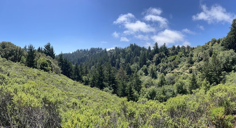 Razorback Ridge Trail - Portola Valley, CA