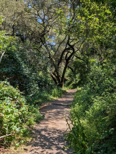 Shady Trail, Portola Valley, CA - Portola Valley, CA