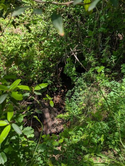 Shady Trail, Portola Valley, CA - Portola Valley, CA