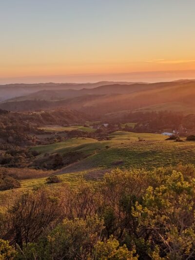 Windy Hill Open Space Preserve - Portola Valley, CA