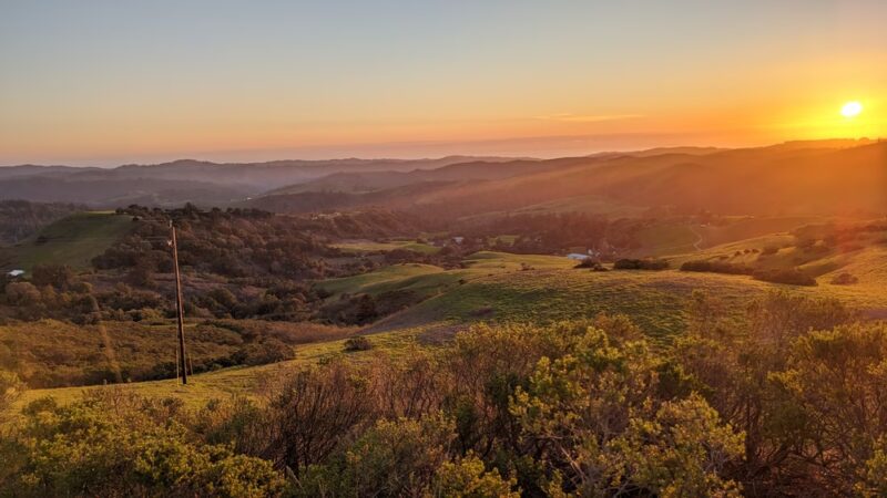 Windy Hill Open Space Preserve - Portola Valley, CA