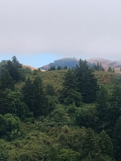 Windy Hill Open Space Preserve - Portola Valley, CA