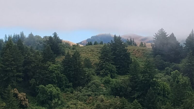 Windy Hill Open Space Preserve - Portola Valley, CA