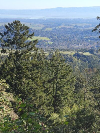 Windy Hill Open Space Preserve - Portola Valley, CA