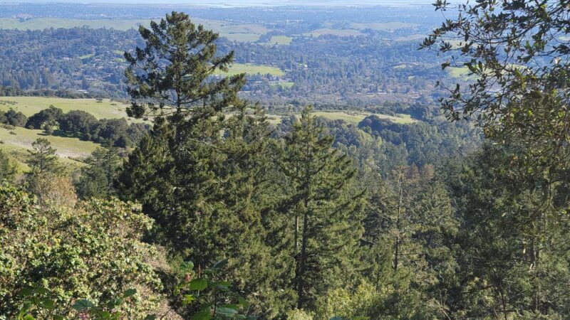 Windy Hill Open Space Preserve - Portola Valley, CA