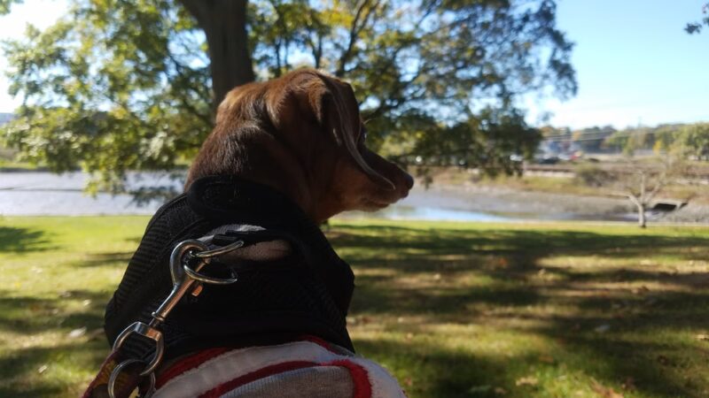 Haven Park - Portsmouth, NH