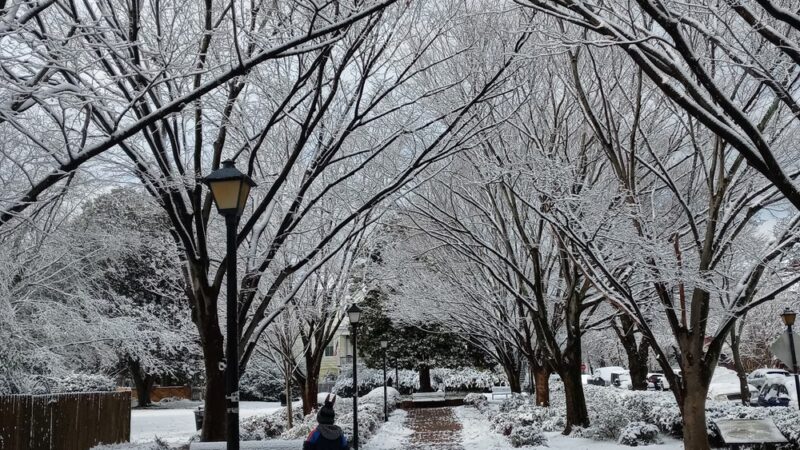 Greenwich Square Park - Portsmouth, VA