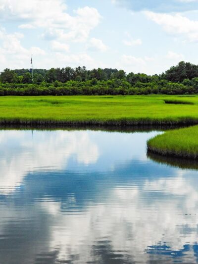 Paradise Creek - Portsmouth, VA