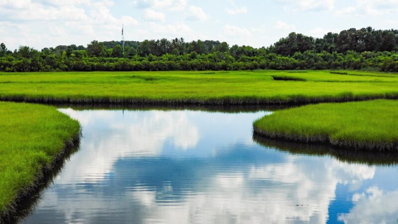 Paradise Creek - Portsmouth, VA