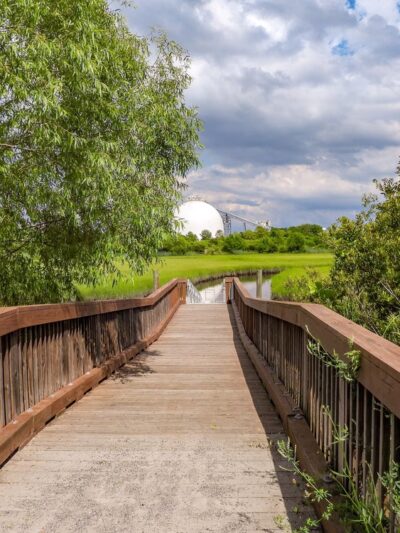 Paradise Creek - Portsmouth, VA