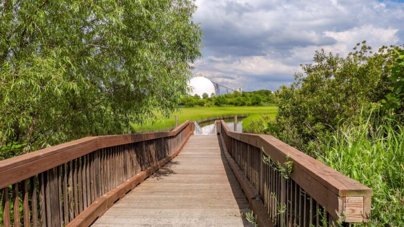 Paradise Creek - Portsmouth, VA