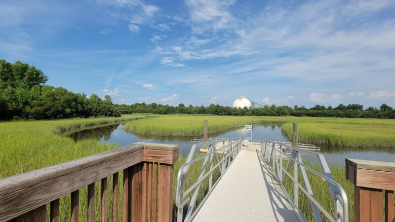 Paradise Creek Nature Park - Portsmouth, VA