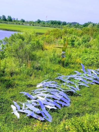 Paradise Creek Nature Park - Portsmouth, VA