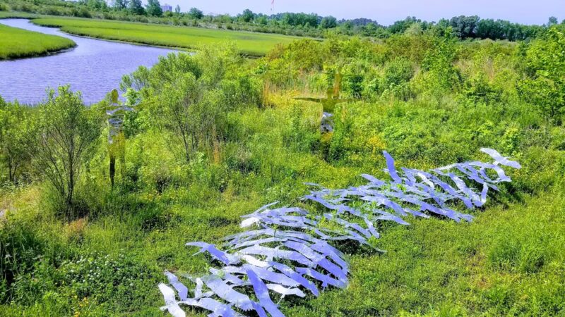 Paradise Creek Nature Park - Portsmouth, VA