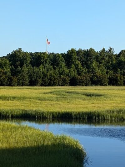 Paradise Creek Nature Park - Portsmouth, VA
