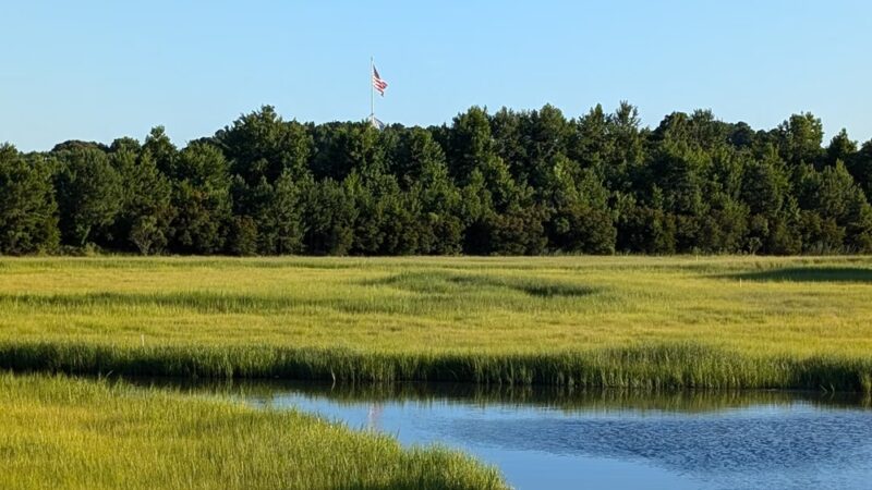 Paradise Creek Nature Park - Portsmouth, VA