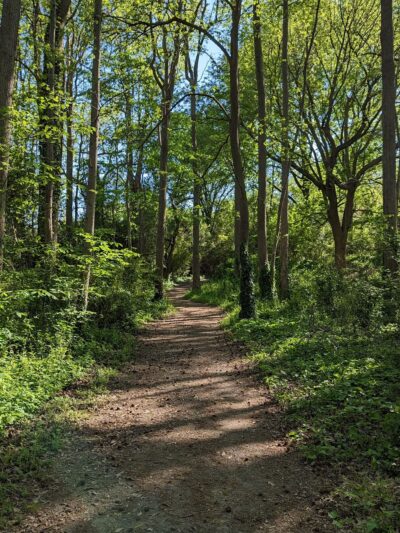 Paradise Creek Nature Park - Portsmouth, VA