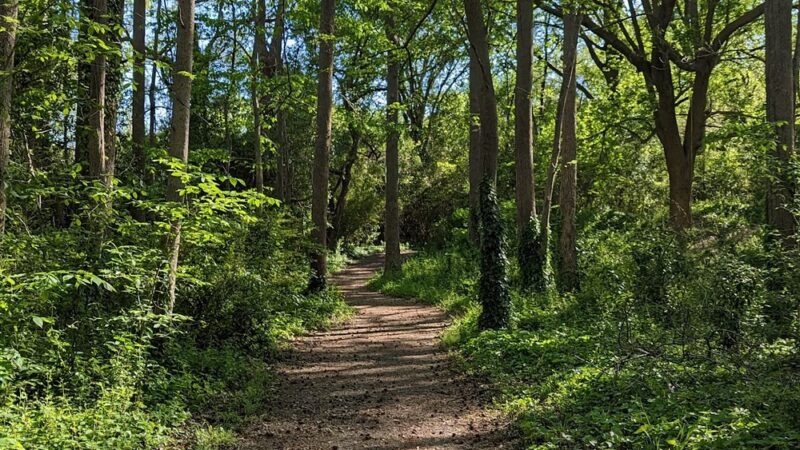 Paradise Creek Nature Park - Portsmouth, VA