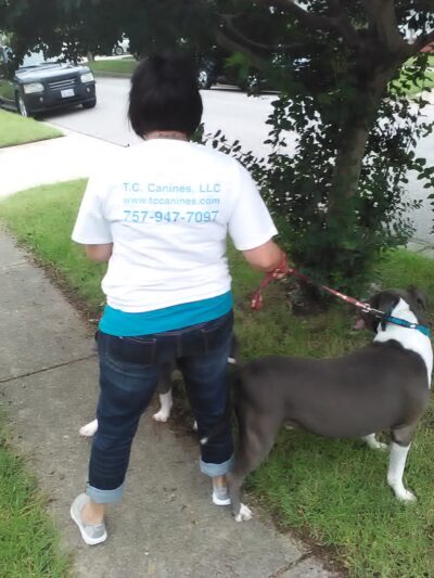T.C. Canines, LLC - Portsmouth, VA