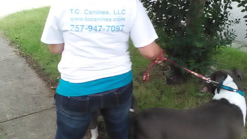 T.C. Canines, LLC - Portsmouth, VA