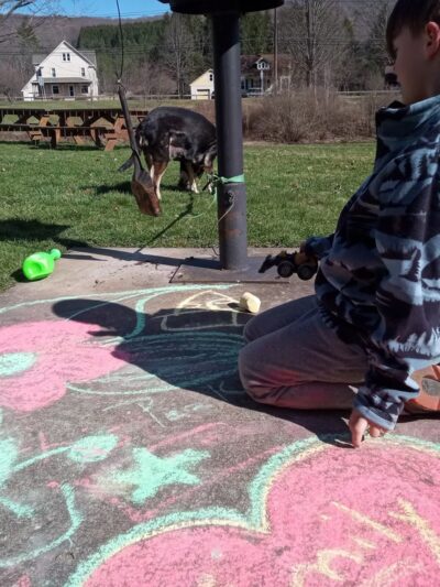 Lyman Baker Creekside Memorial Park - Portville, NY