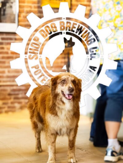 Shop Dog Brewing Co. - Poteau, OK