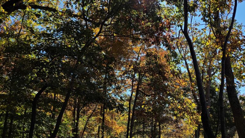 Billy Goat Trail Section C, West End - Potomac, MD