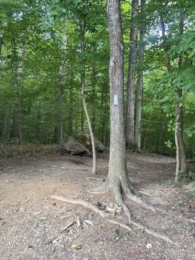 Blockhouse Point Park - Potomac, MD