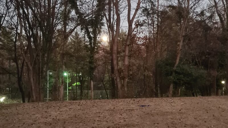 Buck Branch Neighborhood Park - Potomac, MD
