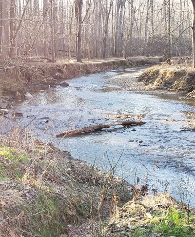 Gregerscroft Neighborhood Park - Potomac, MD