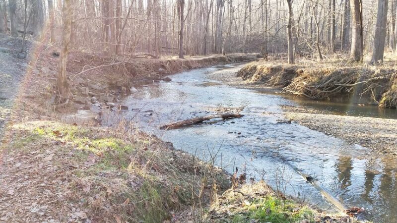 Gregerscroft Neighborhood Park - Potomac, MD