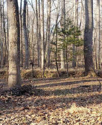 Gregerscroft Neighborhood Park - Potomac, MD