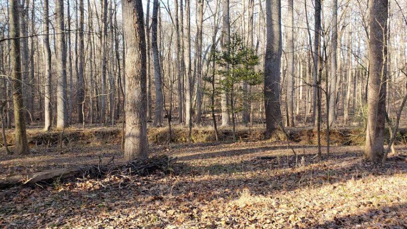 Gregerscroft Neighborhood Park - Potomac, MD