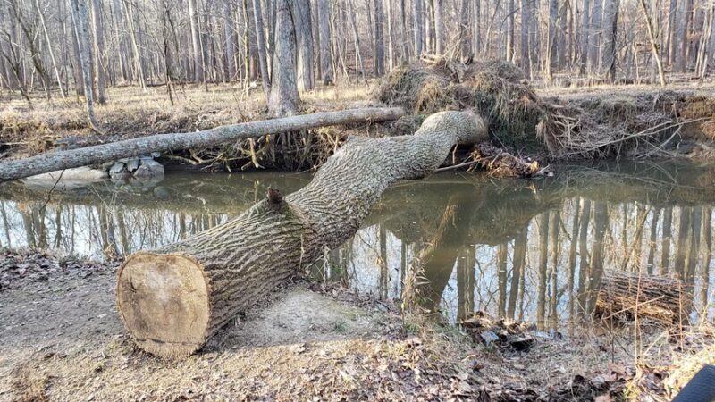 Gregerscroft Neighborhood Park - Potomac, MD