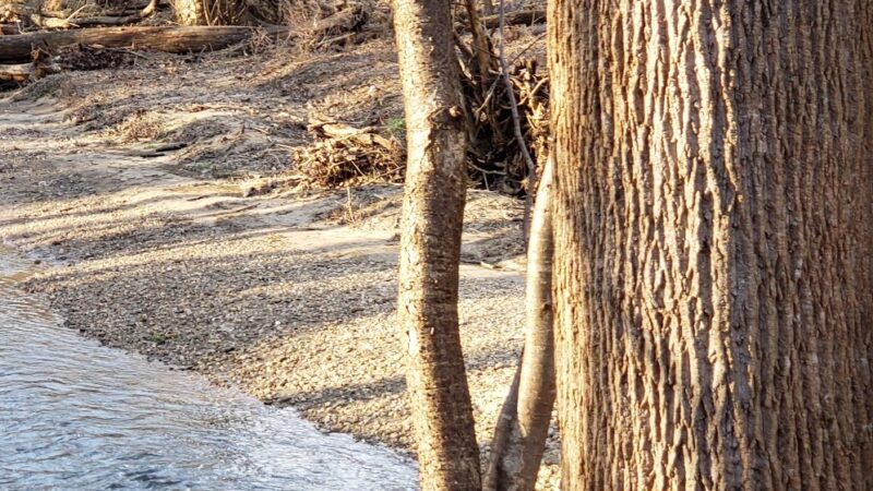 Gregerscroft Neighborhood Park - Potomac, MD