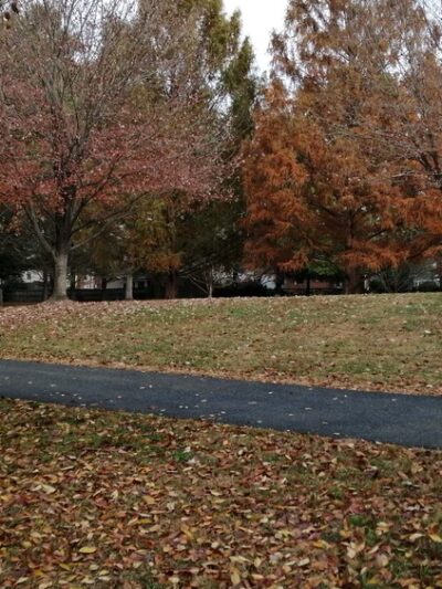 Highland Stone Park - Potomac, MD