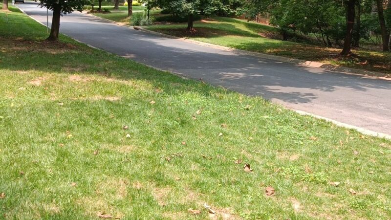 Trailridge Park - Potomac, MD
