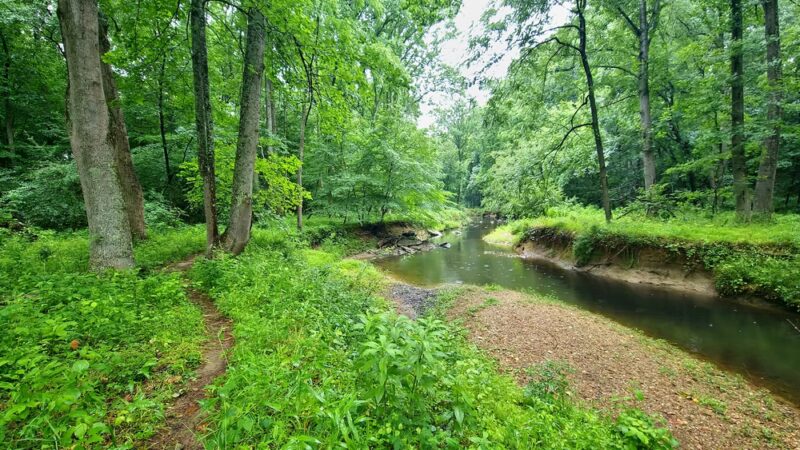 Watts Branch Park - Potomac, MD