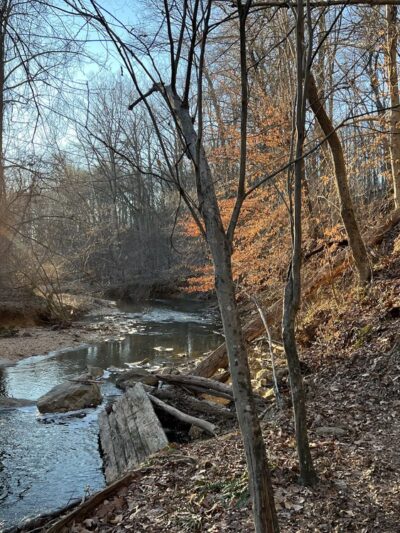 Watts Branch Park - Potomac, MD