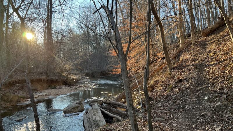 Watts Branch Park - Potomac, MD