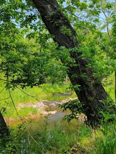 Watts Branch Park - Potomac, MD