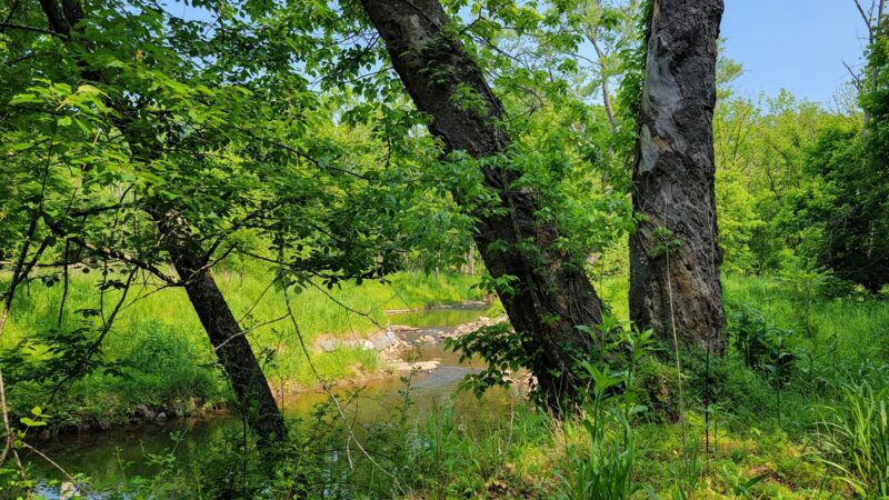 Watts Branch Park - Potomac, MD