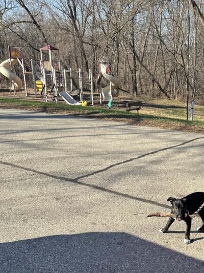 Hickory Hill Park - Potosi, WI