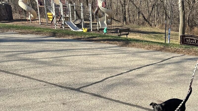 Hickory Hill Park - Potosi, WI
