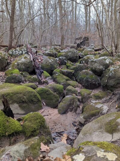 Buzzard's Trail - Pottstown, PA