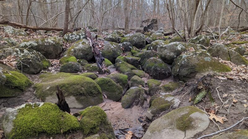 Buzzard's Trail - Pottstown, PA