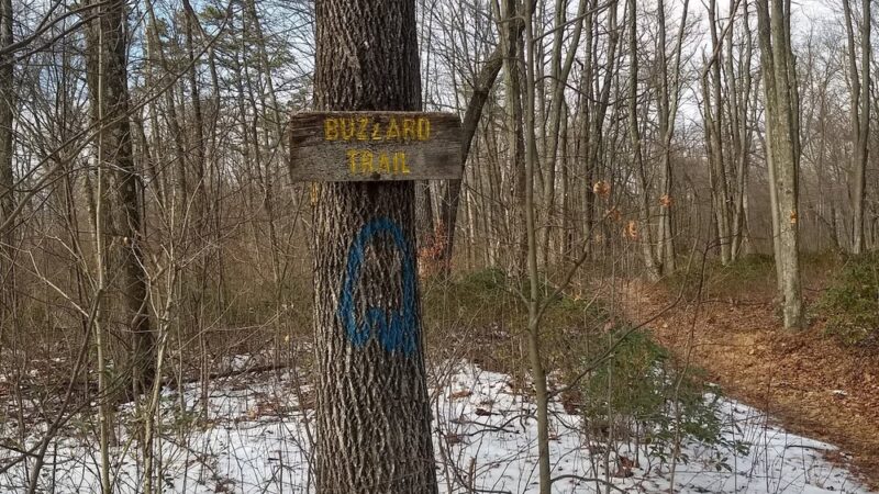 Buzzard's Trail - Pottstown, PA